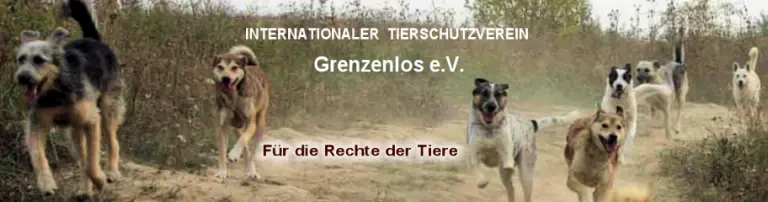 ITV Grenzenlos e.V. Header