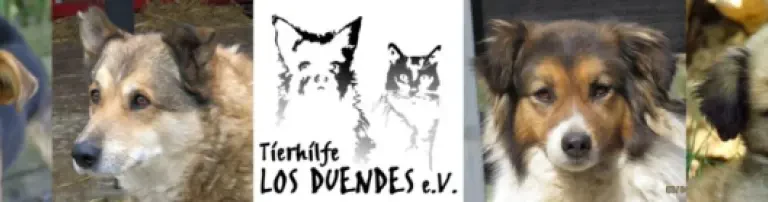 Tierhilfe Los Duendes e.V. Header