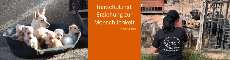 Gebrochene Hundeseelen e.V. Header