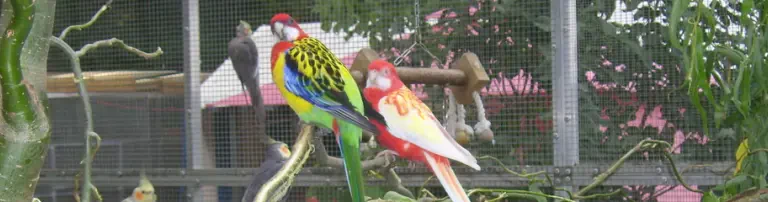 Vogelgnadenhof und Altenheim für Tiere e.V. Header