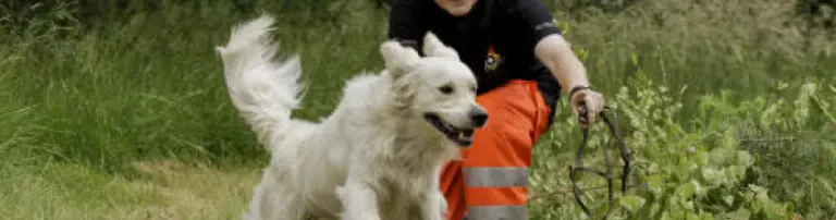 BRH-Rettungshundestaffel Osterode, Goslar, Harz e.V. Header