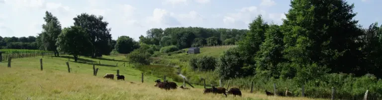Arche Warder - Zentrum für alte Haus- und Nutztierrassen e.V. Header