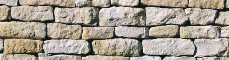 Stiftung Soziale Teilhabe Header