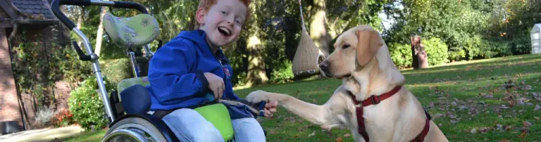 Förderverein tiergestützter Kindertherapie e.V. Header
