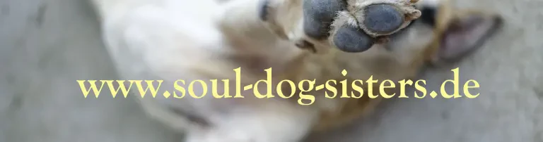 Soul Dog Sisters e.V. Header