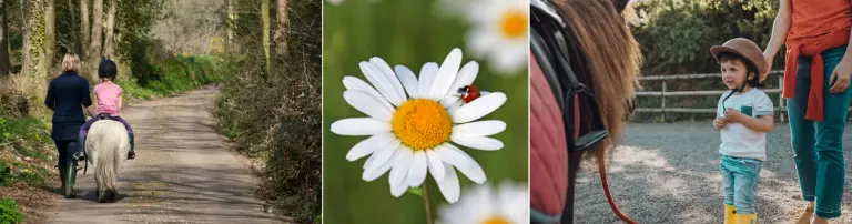 Kleine Glücksritter e.V. Header