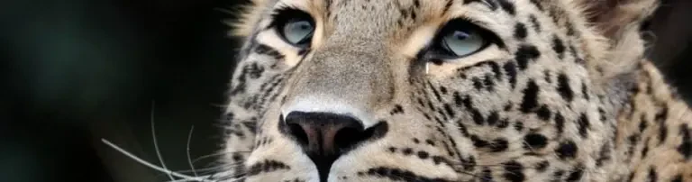 Tierpark Nordhorn Header