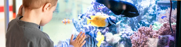 Hilfe für kranke Kinder - Die Stiftung in der Uni-Kinderklinik Tübingen Header