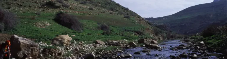 Verein zur Förderung der Archäologie im u. Jabboktal e.V. Header