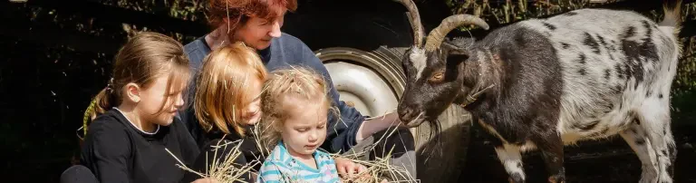 Tierschutzverein Neuss e. V. Header