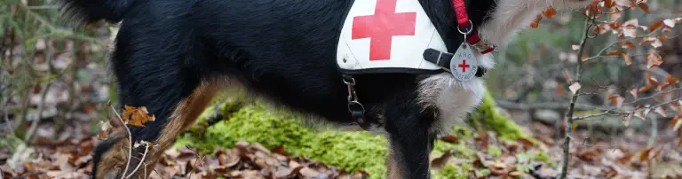 DRK Bereitschaft Rettungshunde Heidenheim Header