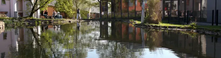 Witten/Annen Institut für Waldorf-Pädagogik e.V. Header