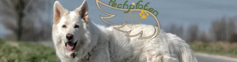 Pechpfoten e.V. Header