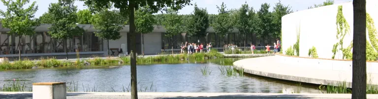 Tierschutzverein für Berlin und Umgebung Corporation e.V. Header