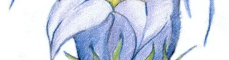 Die Kinderstube e.V. Header