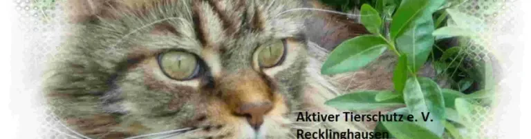 Aktiver Tierschutz e. V. Recklinghausen Header