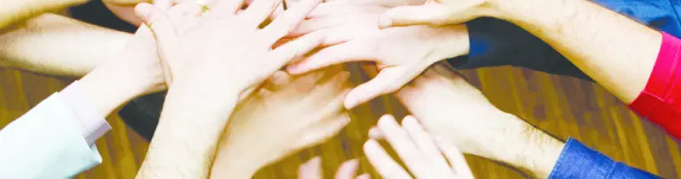 AVS & Friends e.V. Header