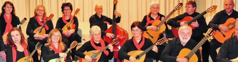 Mandolinenorchester Eberstadt e.V. Header