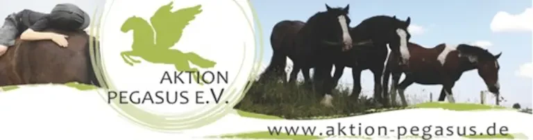 Aktion Pegasus e.V. Header