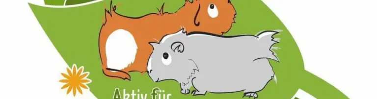 Aktiv für Meerschweinchen Header