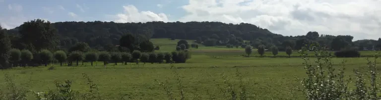 Spatzennest gUG haftungsbeschränkt Header