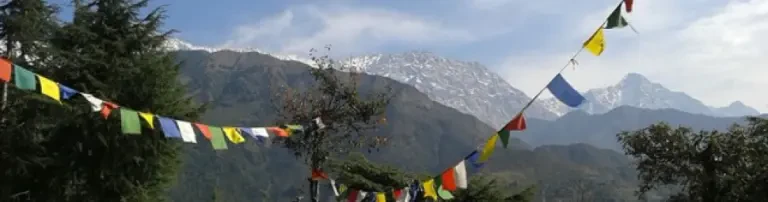 Tibet Tshoesem e. V. Header