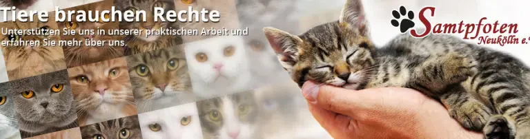 Samtpfoten Neukölln e.V. Header