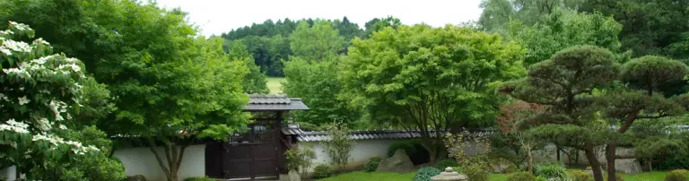 Deutsch Japanische Gesellschaft Bielefeld e.V. Header