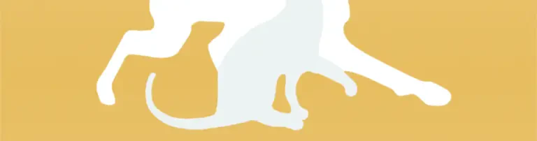 Gabis Tierschutz Antalya e.V. Header