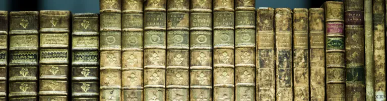 Förderstiftung Konservative Bildung und Forschung Header