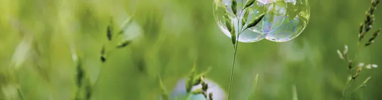 Leere Wiege Hannover e. V. Header