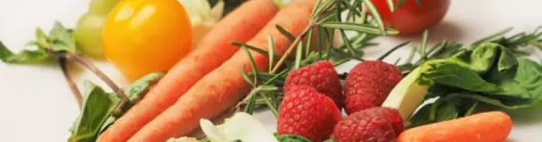 Gesundes Essen für Kinder e.V. Header