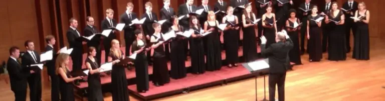 vox animata e.V. Header