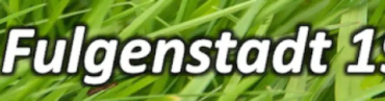 FV Fulgenstadt 1948 e.V. Header