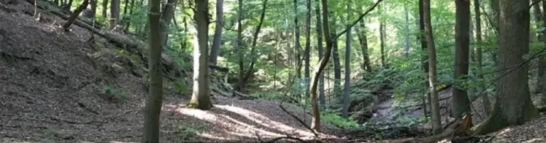 Yesil Cember – ökologisch interkulturell gGmbH Header