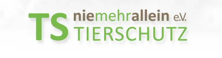 TS Nie mehr Allein e. V. Header