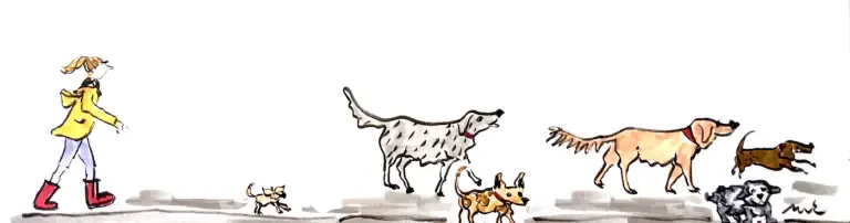 Wir retten Hunde e.V. Header