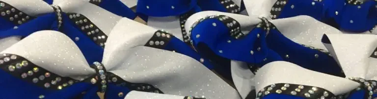 The Peaches Cheerleader e.V. Header