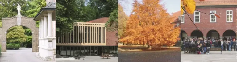 Förderverein des Gymnasiums Mariengarden e.V. Header