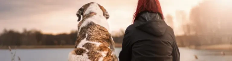 Sozialfelle - Hilfe für sozial benachteiligte Menschen und Ihre Tiere e.V. Header
