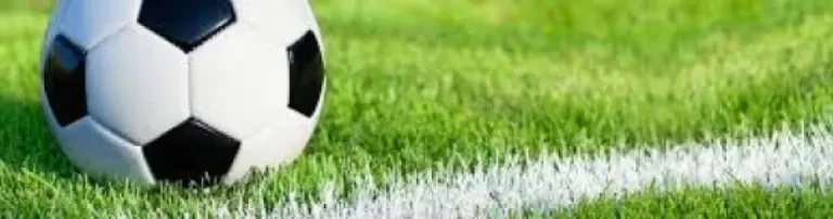 FC Lauchhammer e.V. Header