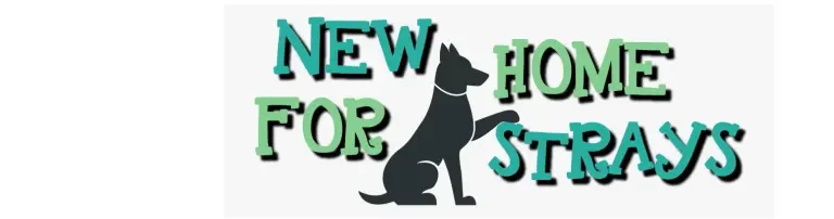 New Home for Strays e. V. Header