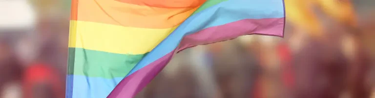 Verein zur Unterstützung des Netzwerks LSBTTIQ Baden-Württemberg e.V. Header