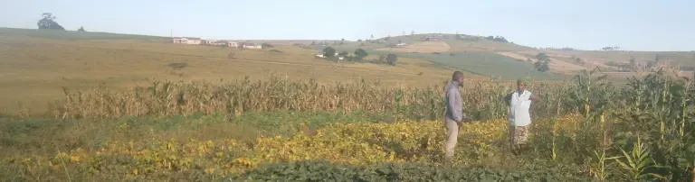 Yebo Zululand Initiativen Header
