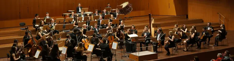 Gemeinnütziger Verein zur Förderung des Landes-Jugend-Symphonie-Orchesters Saar e.V. Header