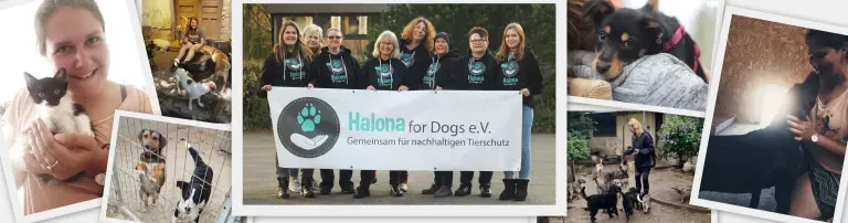 Halona for Dogs e.V. Header