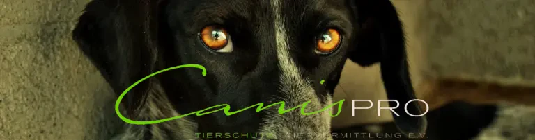CanisPRO e.V. Header