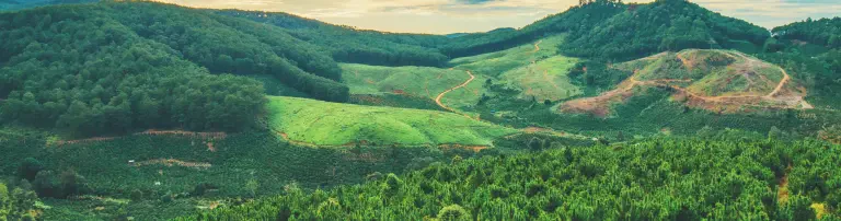 Aktion Baum Header