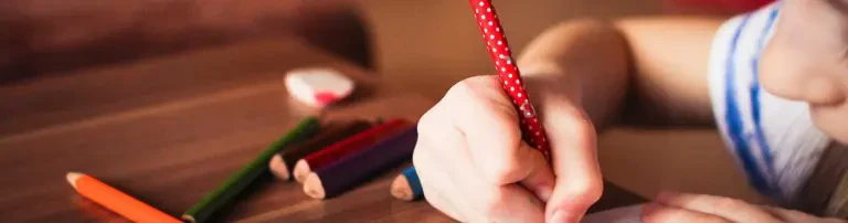 Stiftung Bildung Header