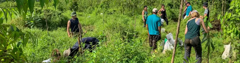 COBIGA – Der Biologische Korridor La Gamba (Costa Rica) Header